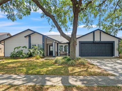 2554 Brimhollow Dr, Valrico, FL, 33596