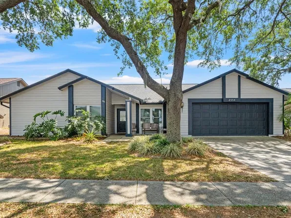 2554 Brimhollow Dr, Valrico, FL 33596