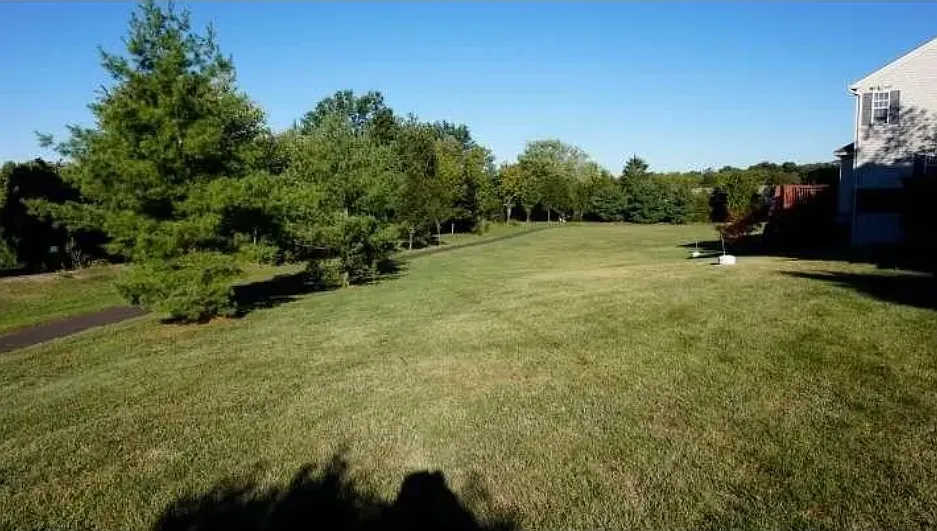5 bed, 2.5 bath, 3300 sqft, $4,400 — Photo 4