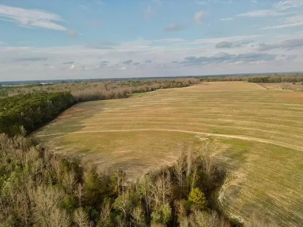2 County Road 3324, Brundidge, AL 36010