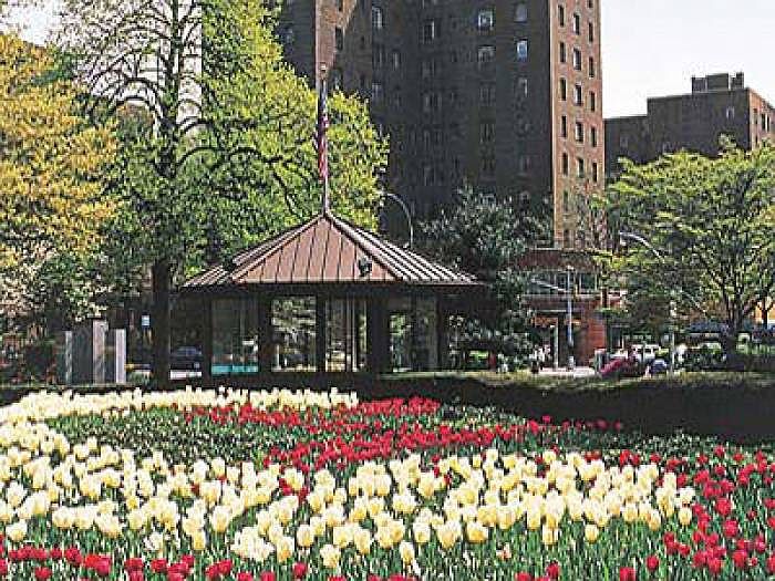 2nd image of 81 Metropolitan Oval APT 3F