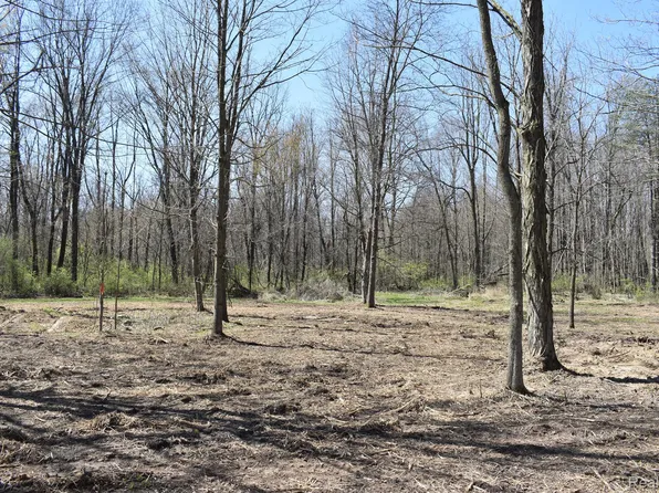 P 9 W Allen Rd, Fowlerville, MI 48836