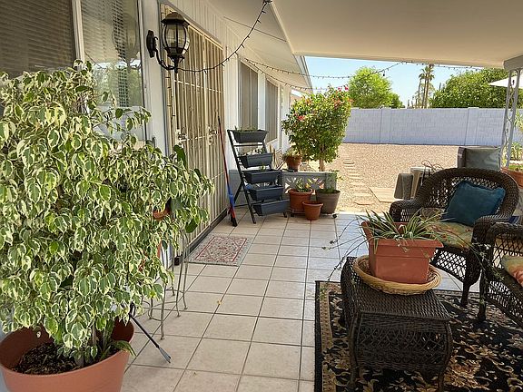 Back Patio and Yard 