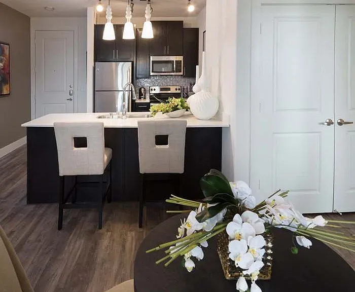 Modern Kitchen and Dining Room