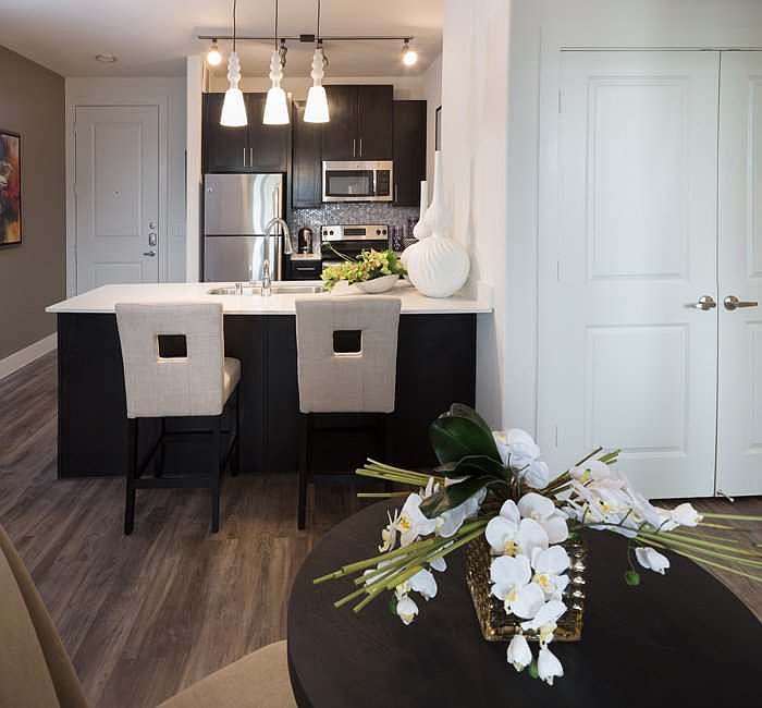 Modern Kitchen and Dining Room