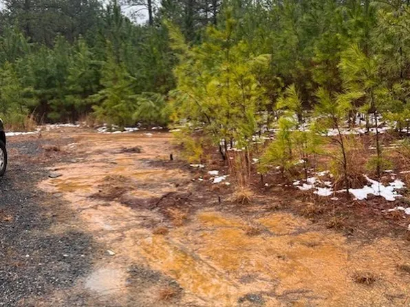 3575 Lombardy Rd, Mascot, VA 23108