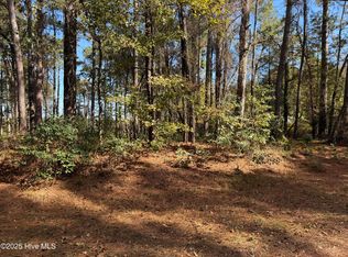 254 Falling Creek Ln, Goldsboro, NC 27530