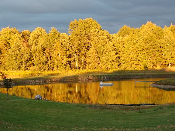 Typical view from family room
