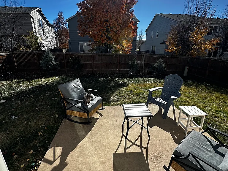 backyard