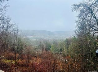 395 Back Shandelee Road, Livingston Manor, NY 12758