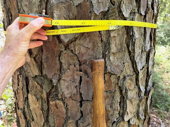 815-2 Hansell Chastain Rd, Thomasville, GA 31757