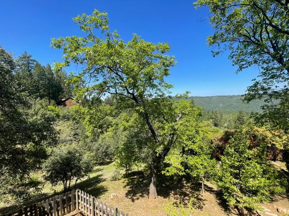387 Snowberry Ct, Murphys, CA 95247