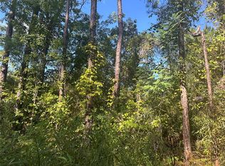 NE 137th Ct LOT 9, Fort Mc Coy, FL 32134