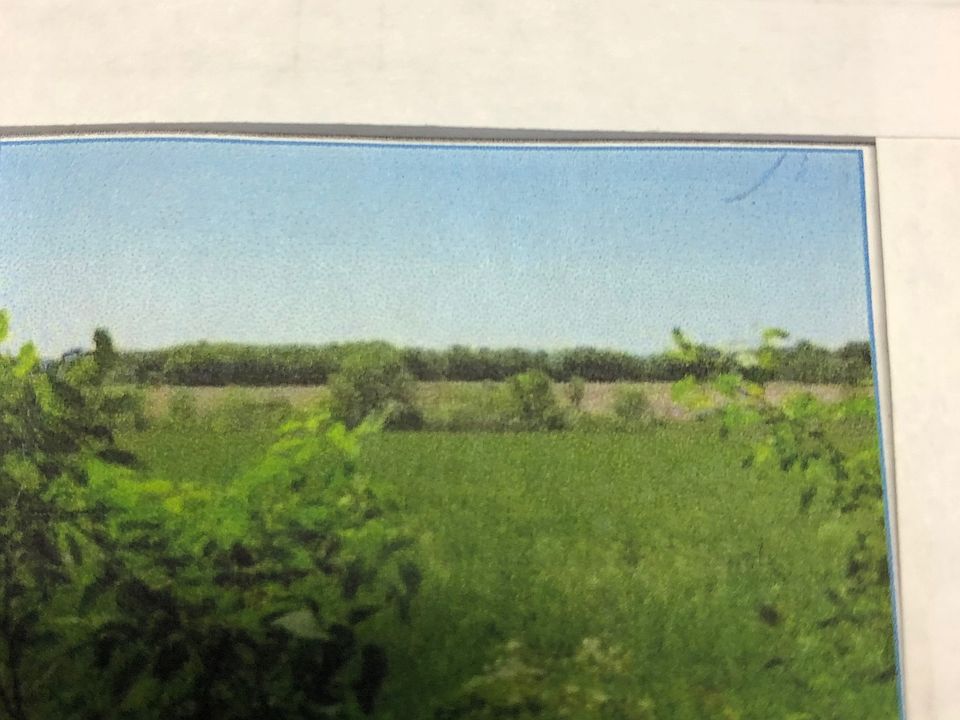 2nd image of 333 Mead Ln