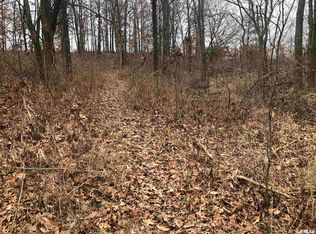 0 Palmetto Dr, Xenia, IL 62899