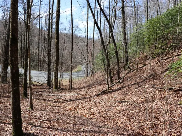 618-618 Rip Saw Rd, Sylva, NC 28779