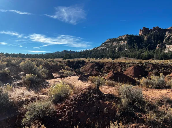 LOT 5 Box S Ranch Rd, Ramah, NM 87321