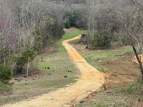 5th image of 0 Preacher Holt Rd Lot 4