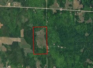 1398 N Palmer Rd, Onaway, MI 49765