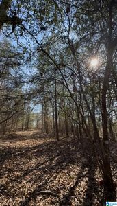 10 Rockyview Rd #10, West Blocton, AL, 35184