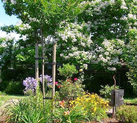 one of the many gardens