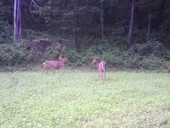 2nd image of XX48 Markey Bluff Road