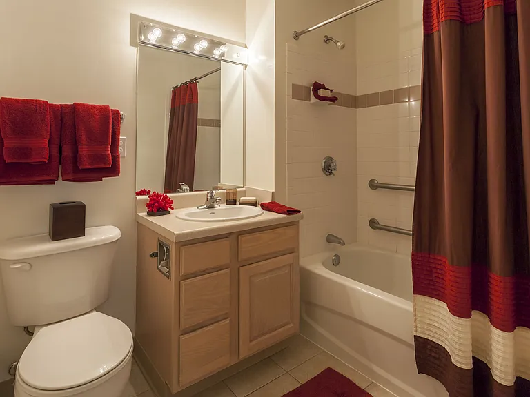 Bathrooms with Lighted Vanity and Tub