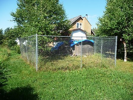 Dog / Chicken run out back