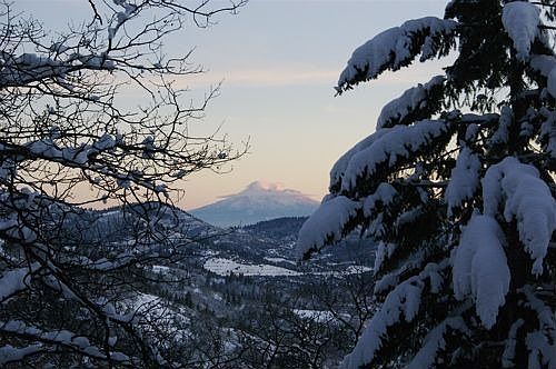 Views of Mt. Shasta