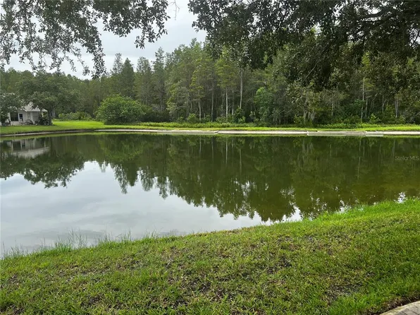 1044 Flora Vista St, New Port Richey, FL 34655