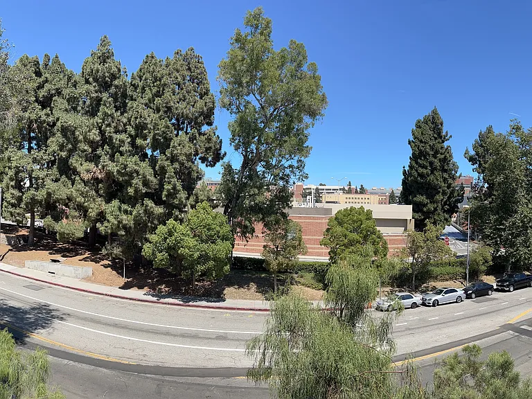 View of campus across the street from our balcony