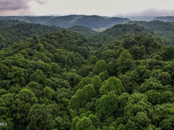 1834 W Clay Co Hwy #52, Celina, TN 38551
