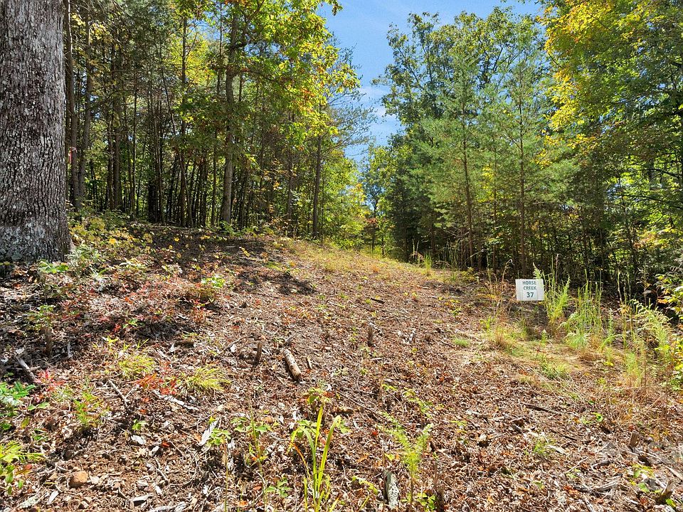 1st image of LOT 37 Walkaloosa Way