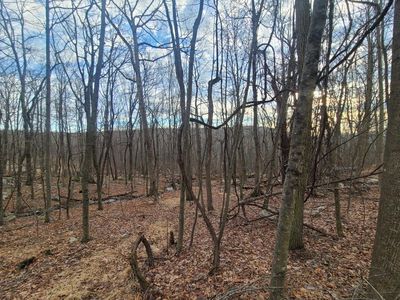 Ferguson Road, Bloomingburg, NY, 12721