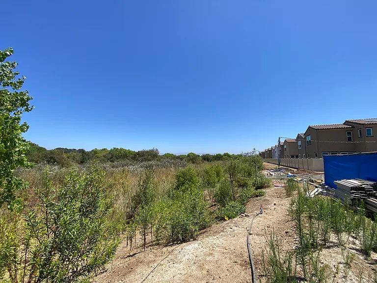 315 Liberty Way — Photo 45