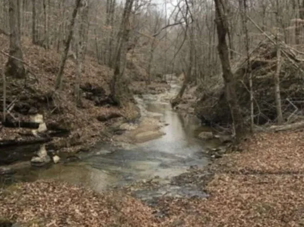 1111 Willis Creek Rd, Burkesville, KY 42717