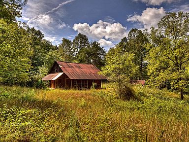 banks ellijay ga