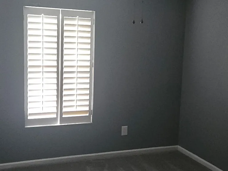 201 Wild Olive Dr — Photo 8