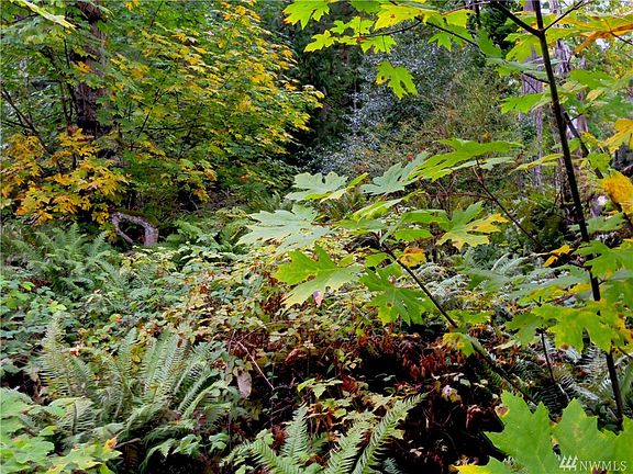 Showing where on the peninsula this is, and the community beach that wraps around