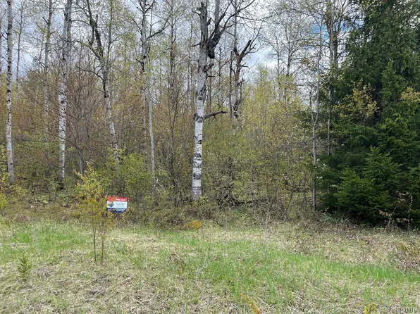 0 Pineview Dr, Elmira, MI 49730