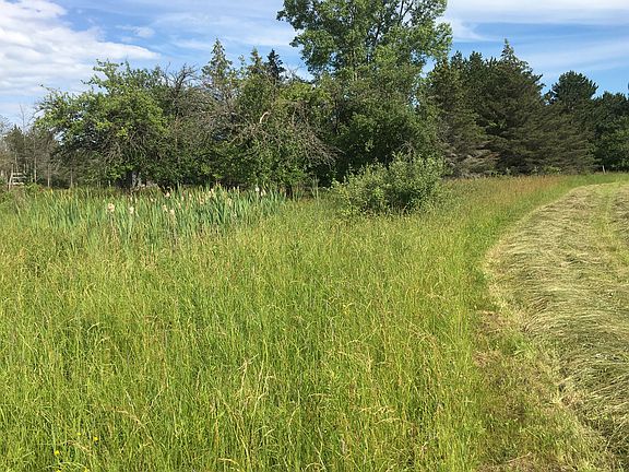 East Side of Property