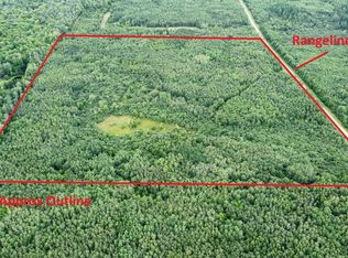 N6606 Rangeline Rd, Deerbrook, WI 54424