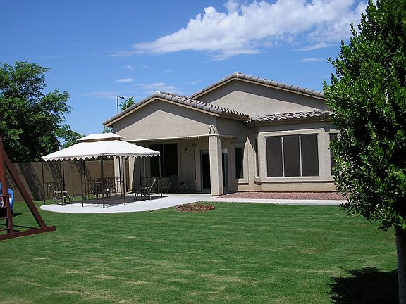 Back yard