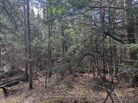 2nd image of 1363 Echo Ridge Rd