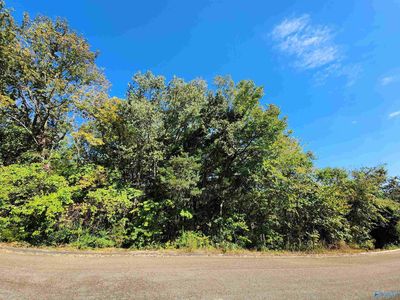 129 Season Ln, Huntsville, AL, 35811