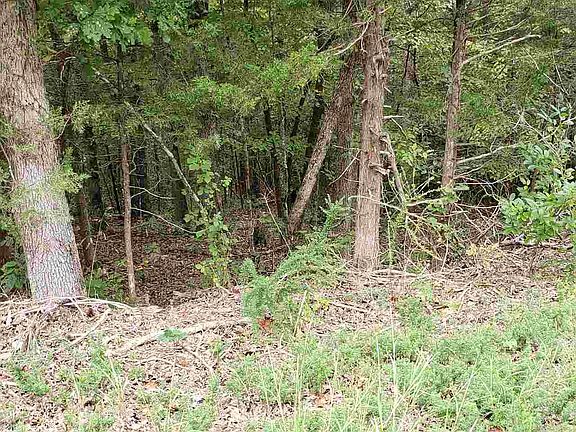 3rd image of 1313 Riverview Dr