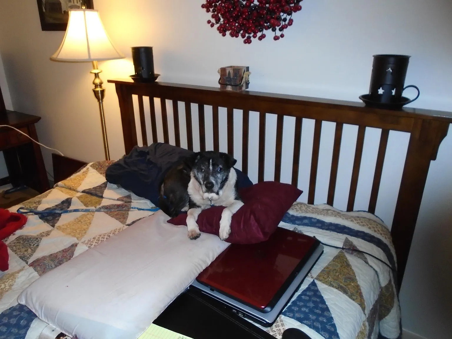 2 bed, 1232 sqft, $750 — Photo 2