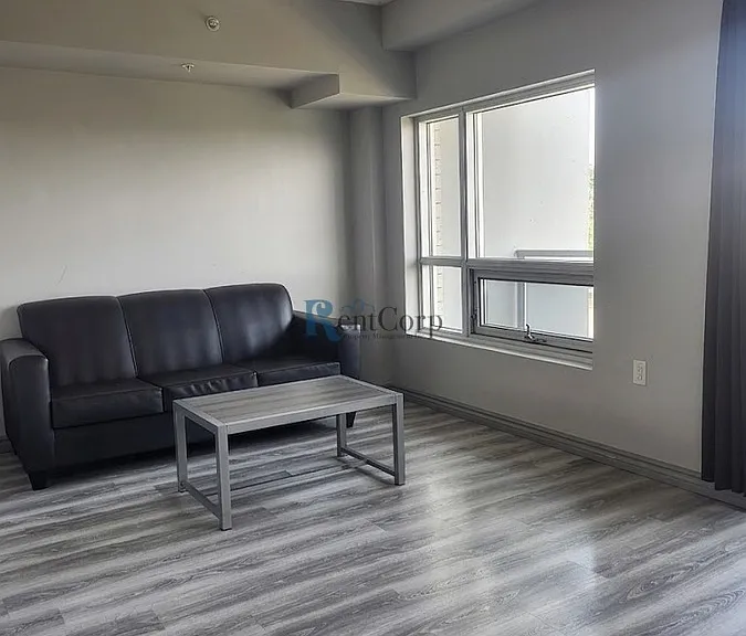 275 Larch St #1 — Photo 7