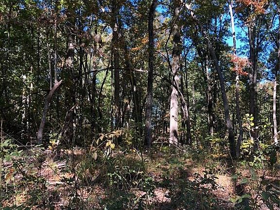 2nd image of 139 Lumpkin View Dr Lot 139