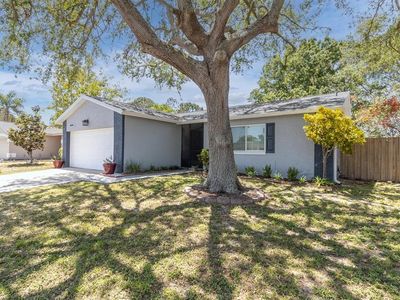 1428 Chesterfield Dr, Dunedin, FL, 34698